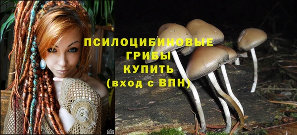 твердый Абдулино