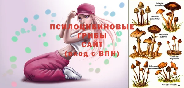 кристаллы Алзамай