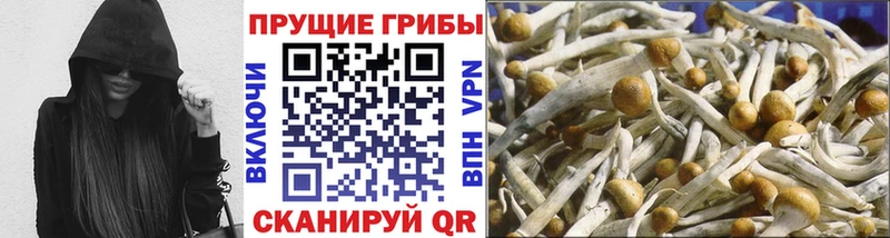 hydra ONION  Кяхта  Галлюциногенные грибы Magic Shrooms  даркнет сайт 